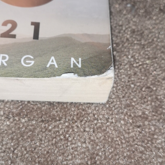 The 100 - Day 21 - Picture 2 of 3